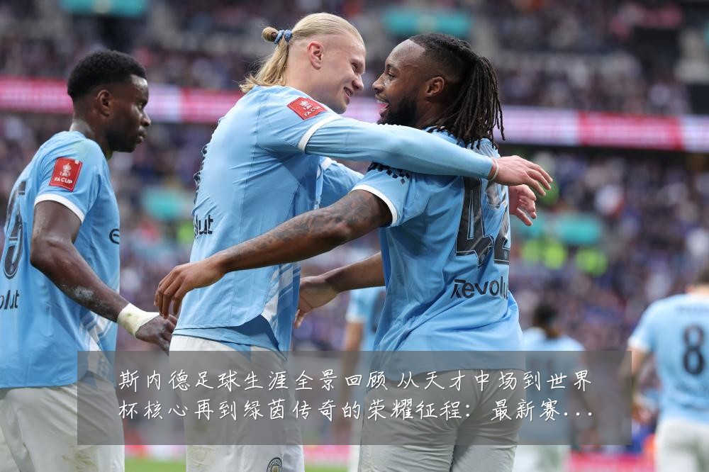 斯内德足球生涯全景回顾 从天才中场到世界杯核心再到绿茵传奇的荣耀征程:最新赛事动态与深度分析